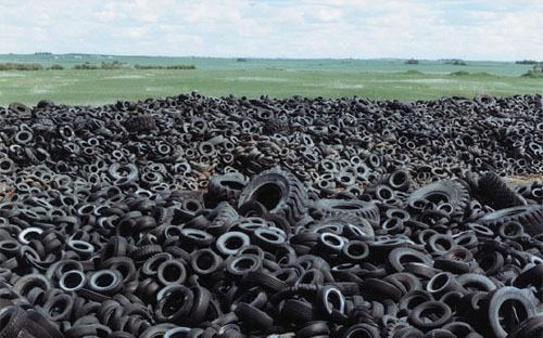 be tong hoa nhua duong 2